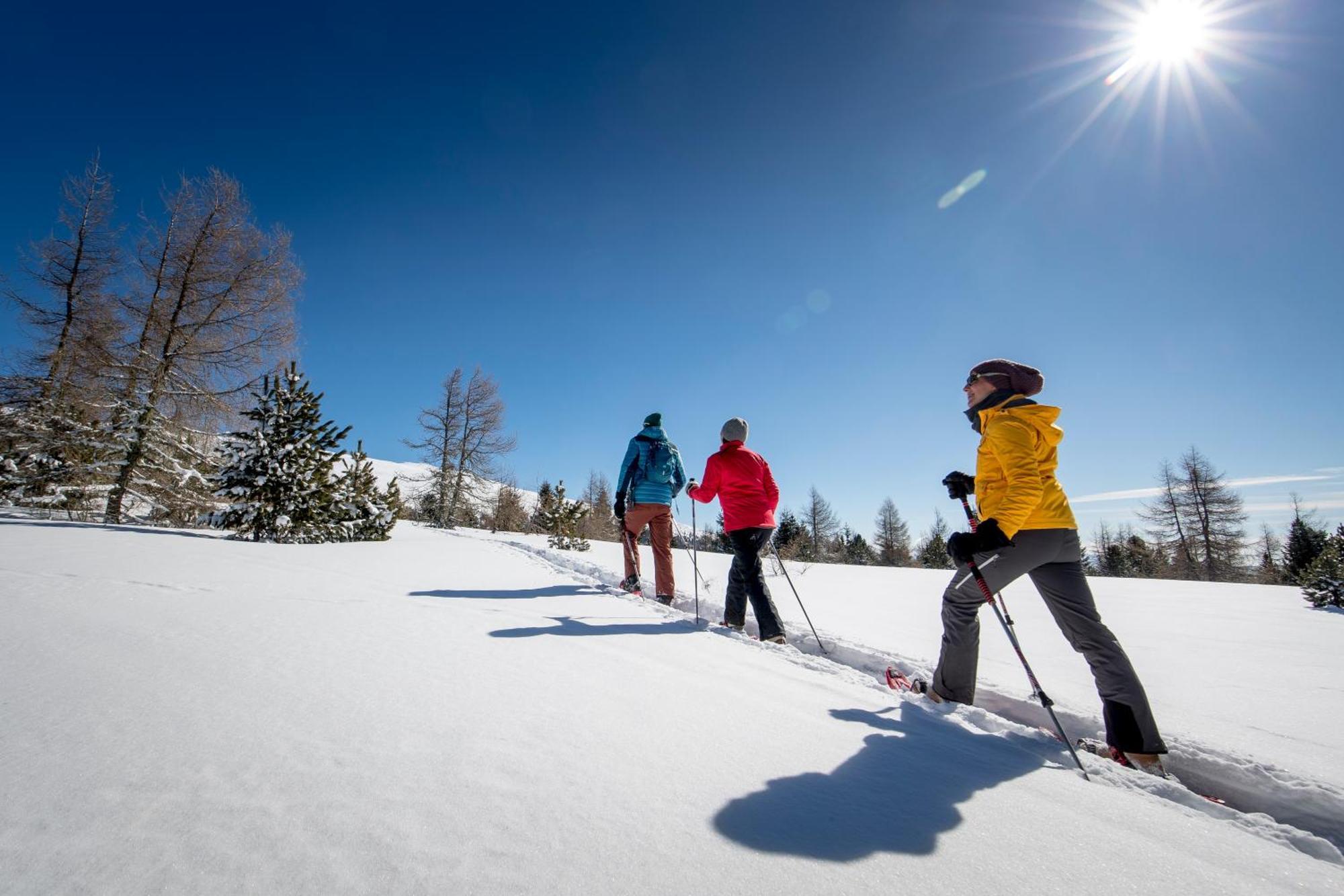 Feriendorf Murau By Alps Resorts Eksteriør billede